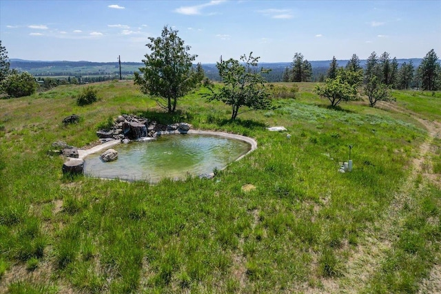 17323 N Lower Greenbluff Rd, Colbert, WA 99005 - view of yard featuring a view of countryside