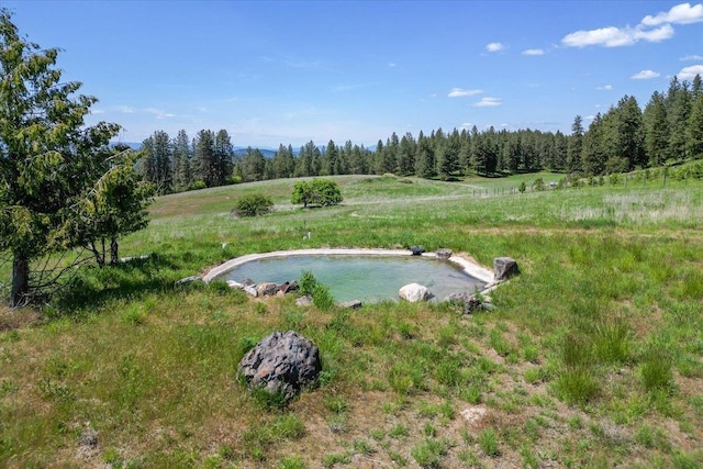 17323 N Lower Greenbluff Rd, Colbert, WA 99005 - bird's eye view of a forest