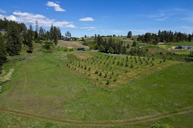 17323 N Lower Greenbluff Rd, Colbert, WA 99005 - aerial view of property and surrounding area with rural landscape