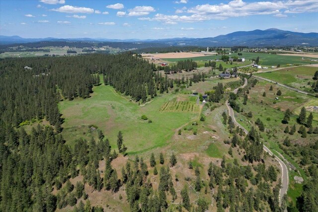 17323 N Lower Greenbluff Rd, Colbert, WA 99005 - aerial view of property's location with a mountain backdrop