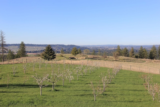 17323 N Lower Greenbluff Rd, Colbert, WA 99005 - view of yard with a rural view