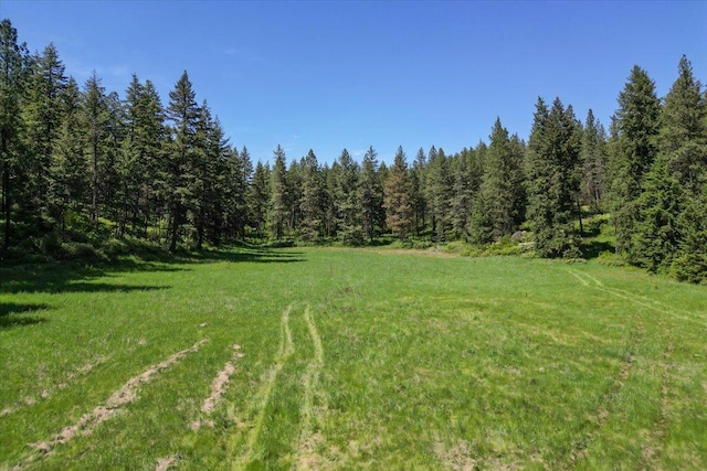 17323 N Lower Greenbluff Rd, Colbert, WA 99005 - view of green lawn featuring a forest view