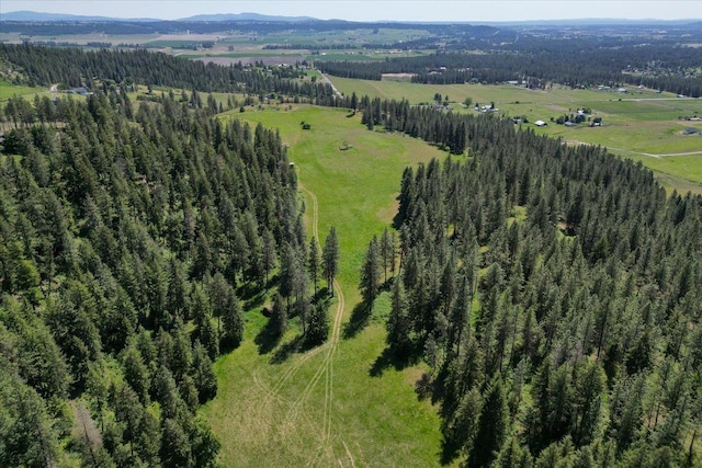17323 N Lower Greenbluff Rd, Colbert, WA 99005 - drone / aerial view of a forest