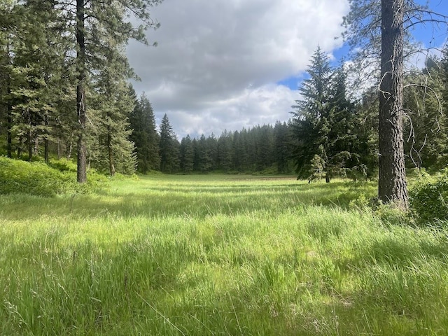 17323 N Lower Greenbluff Rd, Colbert, WA 99005 - view of wooded area