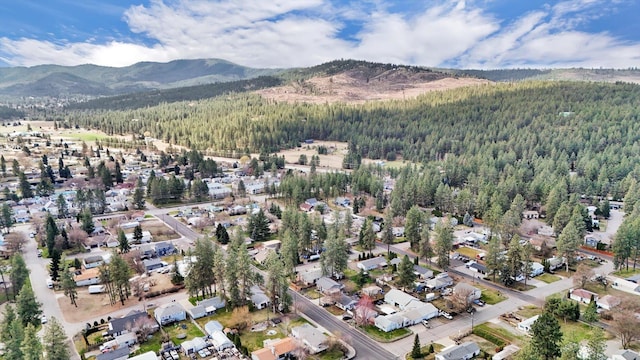10104 E 13th Ave, Spokane Valley, WA 99206 - view of property location featuring a heavily wooded area and mountains