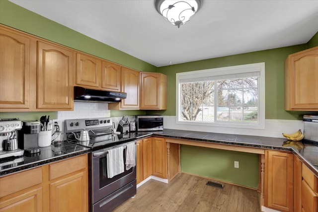 10104 E 13th Ave, Spokane Valley, WA 99206 - kitchen with appliances with stainless steel finishes, under cabinet range hood, light wood-type flooring, and tasteful backsplash