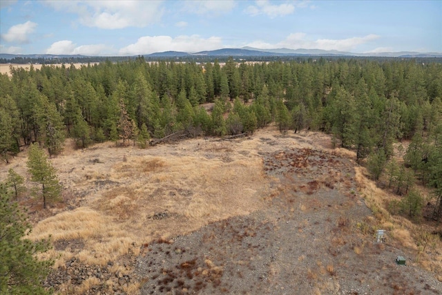00 W Burnett Rd, Nine Mile Falls, WA 99026