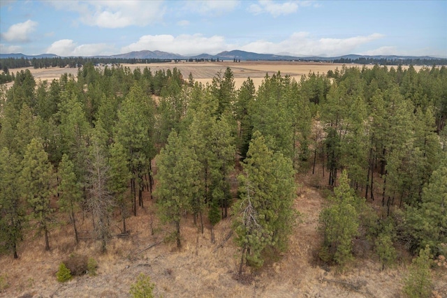 00 W Burnett Rd, Nine Mile Falls, WA 99026