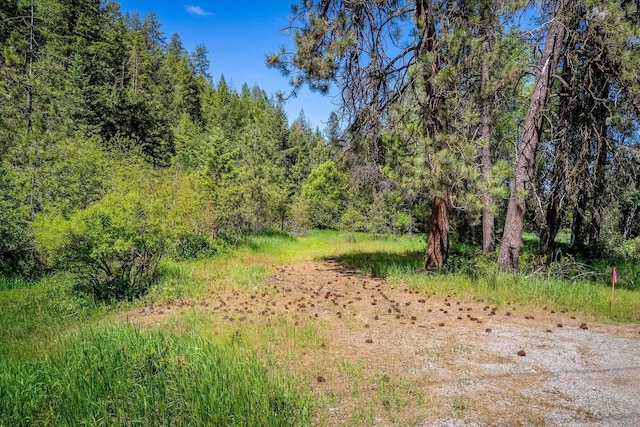 2126 E Leona Dr, Spokane, WA 99208 - photo 11