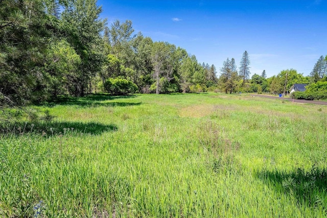 2126 E Leona Dr, Spokane, WA 99208 - photo 12