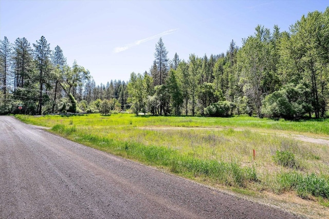 2126 E Leona Dr, Spokane, WA 99208 - photo 4
