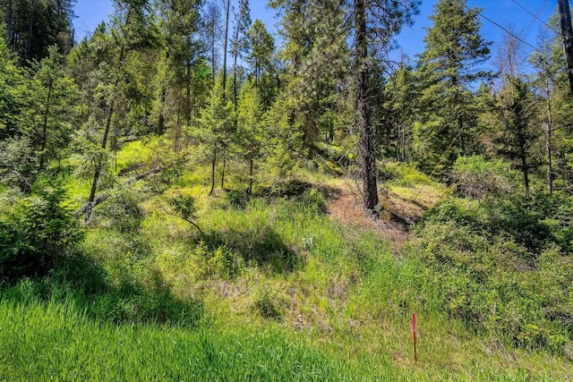 2126 E Leona Dr, Spokane, WA 99208 - photo 10