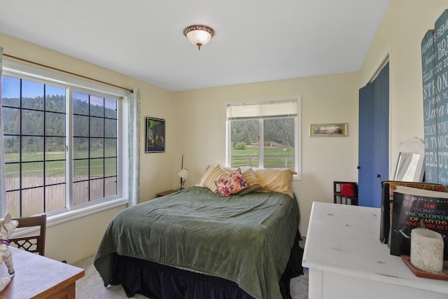 20201 E Lincoln Rd, Otis Orchards, WA 99027 - bedroom with carpet