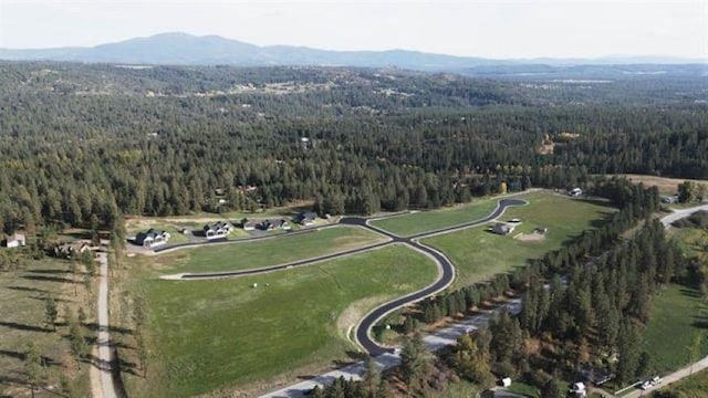 31912 N Zander Ln, Chattaroy, WA 99003