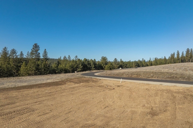 31912 N Zander Ln, Chattaroy, WA 99003