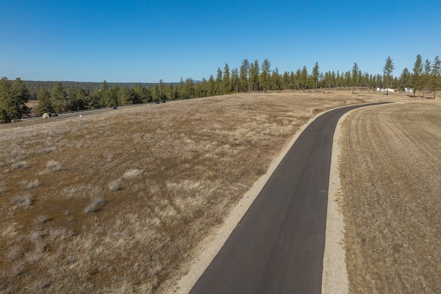 31912 N Zander Ln, Chattaroy, WA 99003