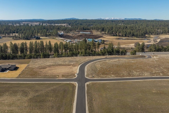 31912 N Zander Ln, Chattaroy, WA 99003