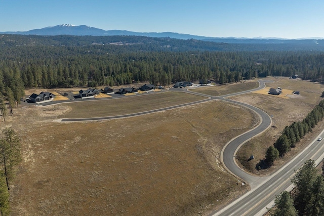 31912 N Zander Ln, Chattaroy, WA 99003