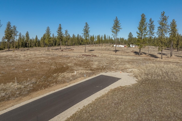 31912 N Zander Ln, Chattaroy, WA 99003