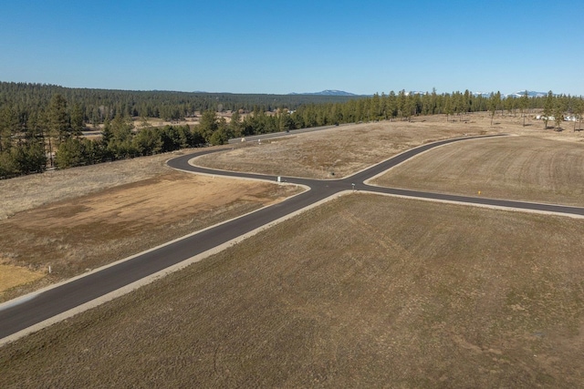 31912 N Zander Ln, Chattaroy, WA 99003