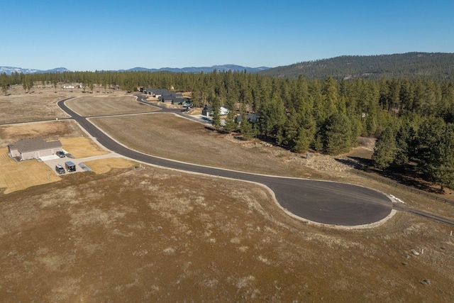 31912 N Zander Ln, Chattaroy, WA 99003