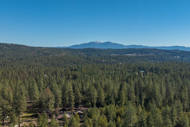 31912 N Zander Ln, Chattaroy, WA 99003