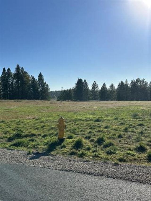 31912 N Zander Ln, Chattaroy, WA 99003