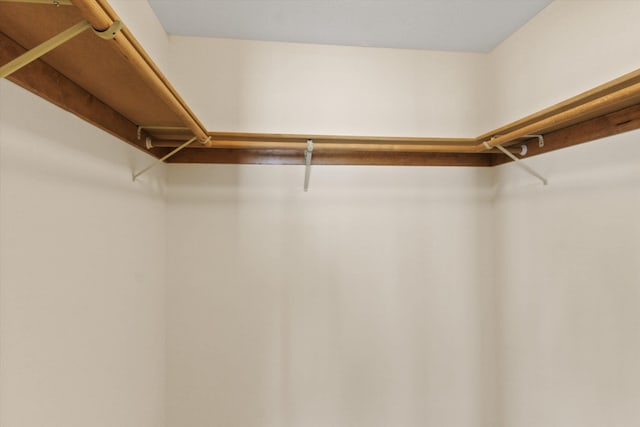 11103 E Main Ave, Spokane Valley, WA 99206 - view of walk in closet