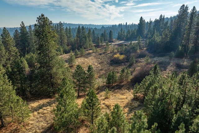 NKA S Inland Empire Way, Spokane, WA 99224