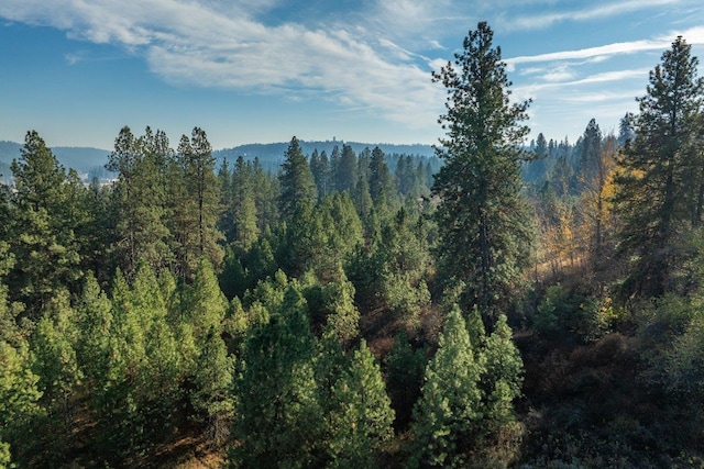 NKA S Inland Empire Way, Spokane, WA 99224