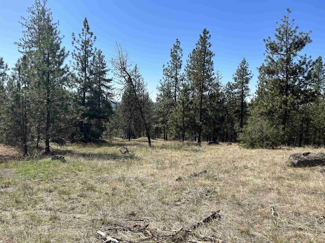 NNA Corkscrew Canyon Rd, Tumtum, WA 99034 - photo 1