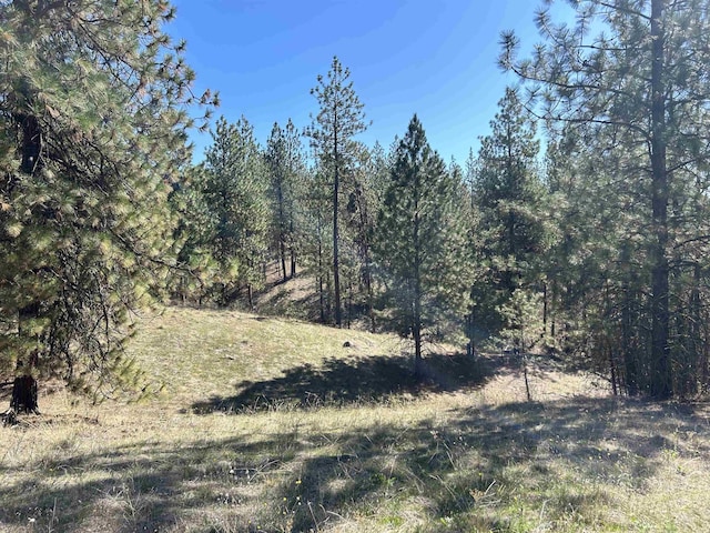 NNA Corkscrew Canyon Rd, Tumtum, WA 99034 - photo 2