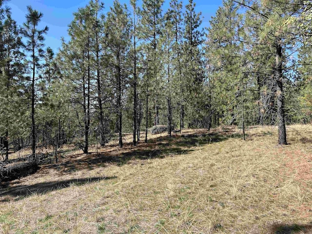 NNA Corkscrew Canyon Rd, Tumtum, WA 99034 - photo 11