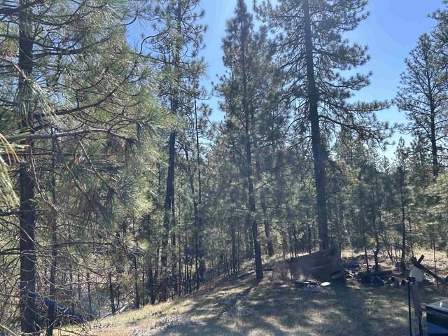 NNA Corkscrew Canyon Rd, Tumtum, WA 99034 - photo 12
