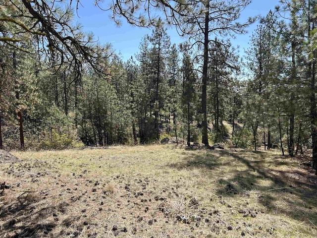 NNA Corkscrew Canyon Rd, Tumtum, WA 99034 - photo 13