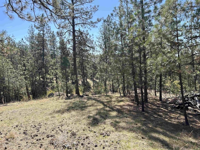 NNA Corkscrew Canyon Rd, Tumtum, WA 99034 - photo 14