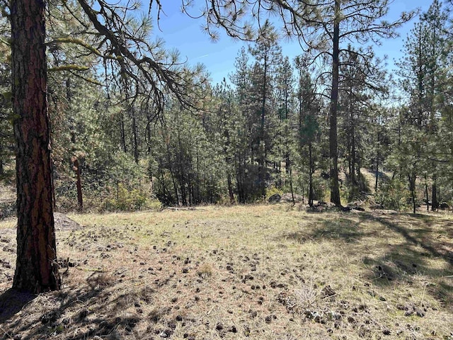 NNA Corkscrew Canyon Rd, Tumtum, WA 99034 - photo 15
