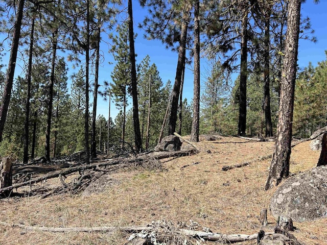 NNA Corkscrew Canyon Rd, Tumtum, WA 99034 - photo 16
