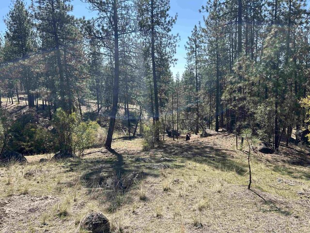 NNA Corkscrew Canyon Rd, Tumtum, WA 99034 - photo 18