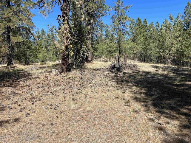 NNA Corkscrew Canyon Rd, Tumtum, WA 99034 - photo 20