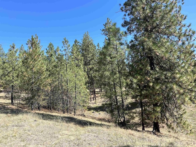 NNA Corkscrew Canyon Rd, Tumtum, WA 99034 - photo 3