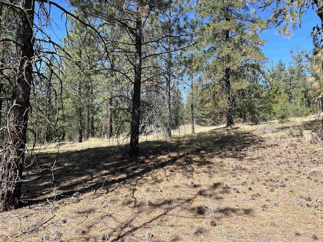 NNA Corkscrew Canyon Rd, Tumtum, WA 99034 - photo 21