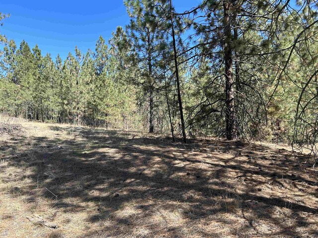 NNA Corkscrew Canyon Rd, Tumtum, WA 99034 - photo 22