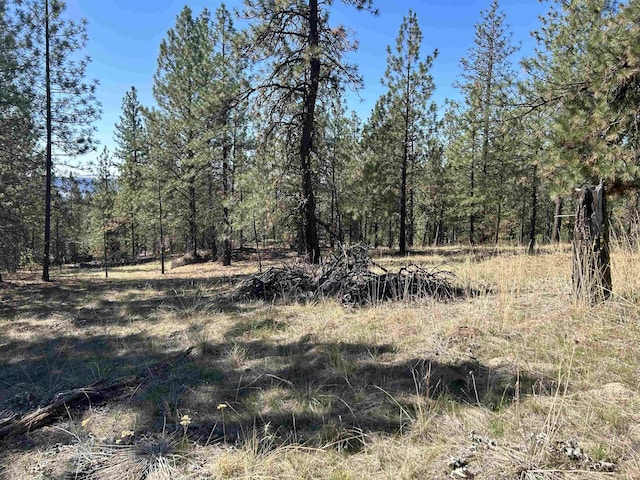 NNA Corkscrew Canyon Rd, Tumtum, WA 99034 - photo 5