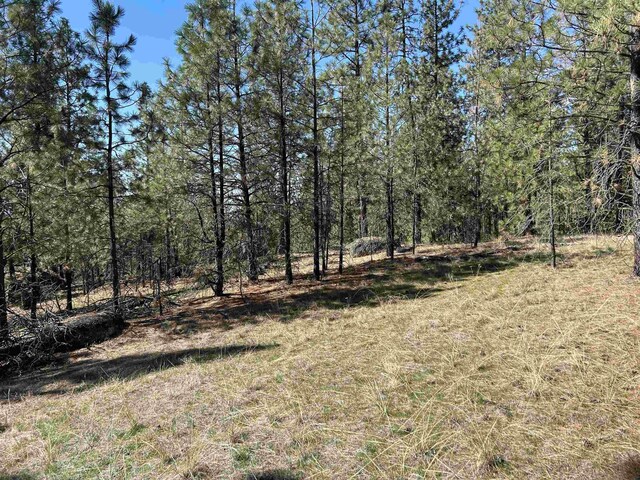 NNA Corkscrew Canyon Rd, Tumtum, WA 99034 - photo 10