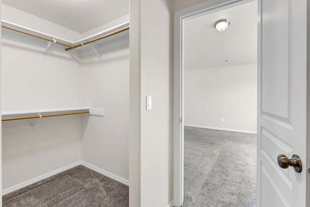 822 S Oswald St, Spokane, WA 99224 - spacious closet with dark colored carpet