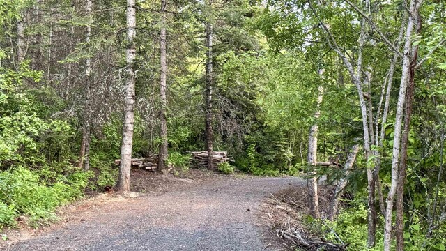TBD S Swenson Rd, Deer Park, WA 99006
