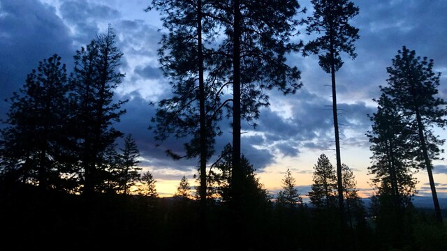 TBD S Swenson Rd, Deer Park, WA 99006