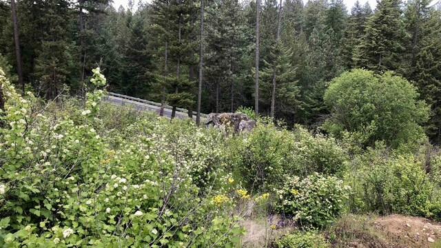 TBD S Swenson Rd, Deer Park, WA 99006