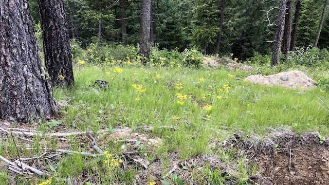 TBD S Swenson Rd, Deer Park, WA 99006